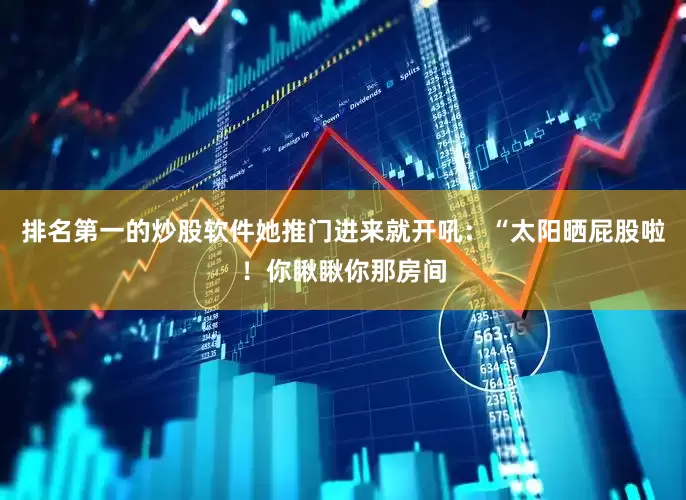 排名第一的炒股软件她推门进来就开吼：“太阳晒屁股啦！你瞅瞅你那房间